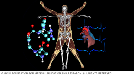 Biomedical Engineering at Union College | Union College Research