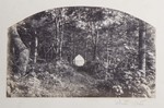 6.12 Forest Landscape, with a White Tent, White Mts by William Stillman