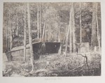 6.20 The "Philosophers' Camp," also known as "Camp Maple", Adirondacks by William Stillman