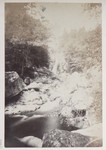 6.26 View of Glen Ellis Falls by William Stillman