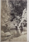6.27 View of an Unidentified Waterfall, White Mts by William Stillman