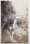 6.28 View of Crystal Cascade Falls by William Stillman