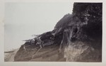 6.57 View of Shanklin Cliffs by William Stillman