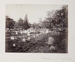 6.73 View of the Churchyard and Christ Church by William Stillman