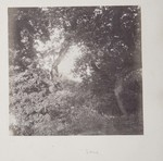6.84 Wooded Landscape by William Stillman