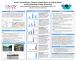What's in your Water: Chemical Compositions of Surface Waters in the Schenectady County Watershed by Fiona Fitzgerald, Margot O'Brien, and Thomas Gagliardi